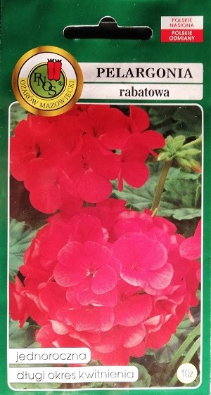 Zonālā pelargonija sarkana 10 gab PNOS