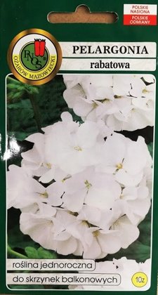 Zonālā pelargonija balta 10 gab PNOS