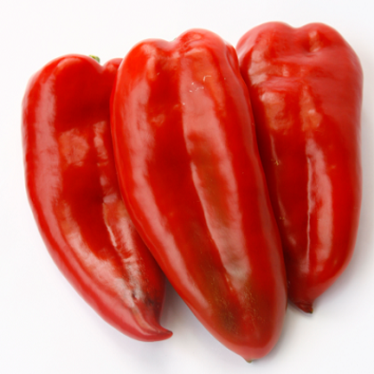 Paprika DINAMICA F1 30 gab Rijk Zwaan