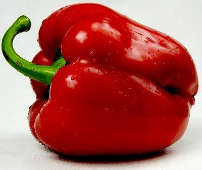 Paprika SOPRASSO F1 5 gab Rijk Zwaan