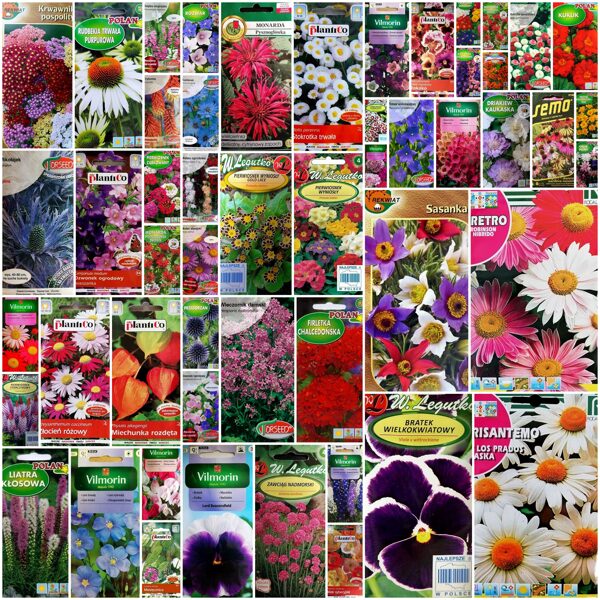 Divgadīgās un daudzgadīgās puķes