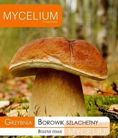 Egļu baravikas micēlijs 10 g Mycelium