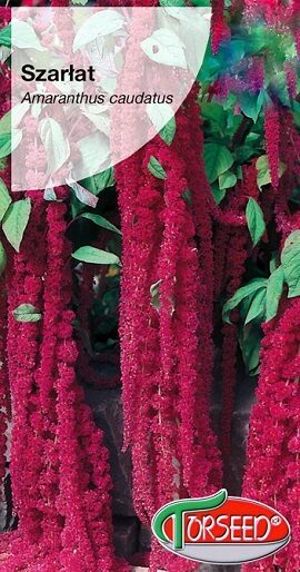 Astainais amarants SZARLAT 3 g Torseed