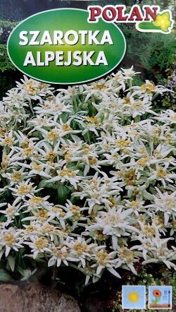 Alpu ēdelveiss 0.1 g POLAN    A.P.