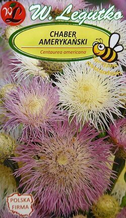 Amerikas rudzupuķe 1 g W.Legutko   A.P.