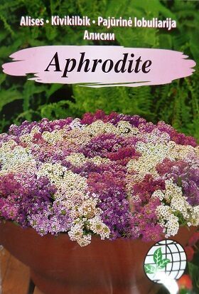Jūrmalas lobulārija Aphrodite AMC (Saldā alise) 50 mg Agrimatco A.P.