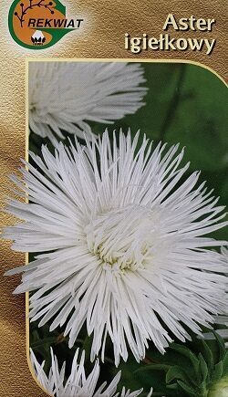 Asteres ķīnas adatainās BEATA 1 g Rekwiat  A.P.