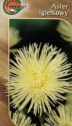 Asteres ķīnas adatainās NEL 1 g Rekwiat   A.P