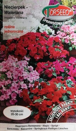 Balzamīnes WALERIANA MIX 0.05 g Torseed    A.P.