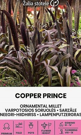    SARZĀLE COPPER PRINCE  10 gab  Žalia stotelė