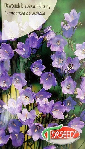 Dižās pulkstenītes zilas 0.2 g Torseed   A.P.