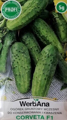 Gurķi CORVETA F1 3 g WerbAna