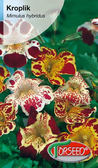 Hibrīdā pērtiķmutīte MIX 0.25 g Torseed