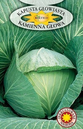 Kāposti KAMIENNA GŁOWA 2g Roltico