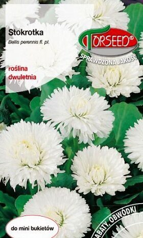 Mārpuķīte Excelsa Weiss  0.3 g Torseed    A.P.