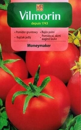 Tomāti Moneymaker  500 mg  Vilmorin