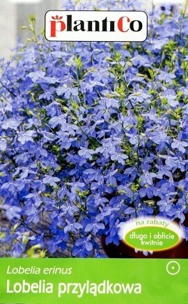 Zemā lobēlija krūmu ARLETKA gaiši zilas 0.2 g PlantiCo