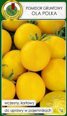 Tomāti OLA POLKA 1 g PNOS