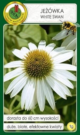 Purpursarkanā ehinācija balta White Swan 1 g PNOS