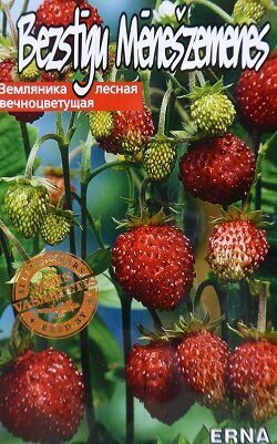 Zemenes (Mēnešzemenes) bezstīgu Erna 0.05 g Kurzemes Sēklas    A.P.