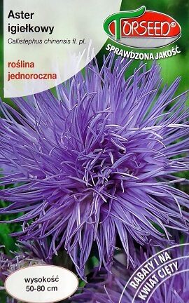 Asteres ķīnas adatainās lilā 0.5 Torseed