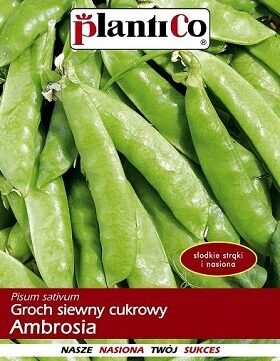 ZIRŅI AMBROSIA 40 g PlantiCo