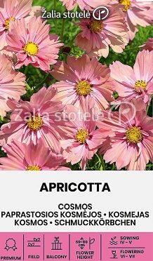 Divplūksnu kosmejas APRICOTTA  20 gab Žalia stotelė