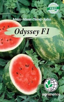 Arbūzs Odyssey F1 5 gab Agrimatco