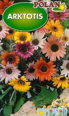 Arktotes MIX 0.5 g Polan