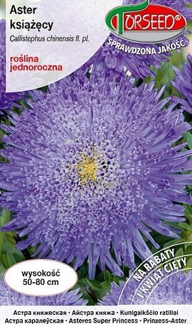 Asteres ķīnas princešu zili lilā 0.5 g Torseed