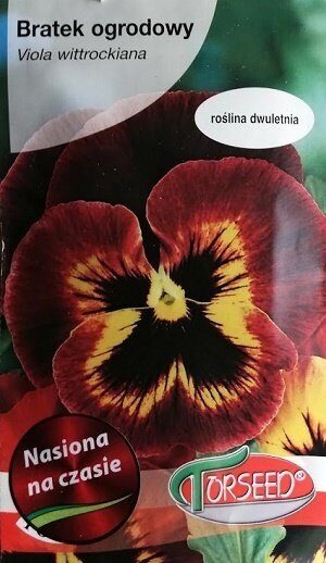 Atraitnītes lielziedu tumši sarkanas SZWAJCARSKIE 0.5 g Torseed A.P.