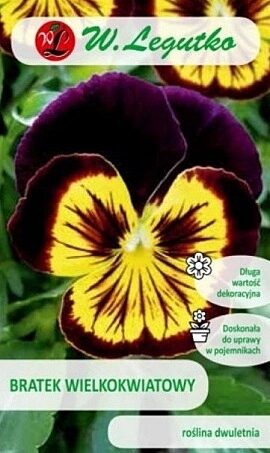 Atraitnītes lielziedu tumši lillā 0.4 g W.Legutko