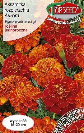 Samtenes zemās Aurora 1 g Torseed