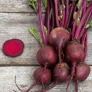 Bietes AURORA F1  apm. 900 gab Sakata