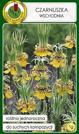 Austrumu nigella 1 g PNOS