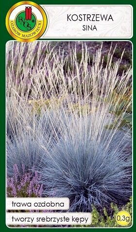 Zilganzaļā auzene Kostrzewa sina 0.3 g PNOS