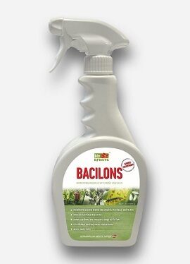 Bacilons — gatavs lietošanai 500 ml BioEfekts