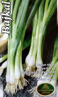 Lielloku sīpoli Bajkal 1 g Kurzemes Sēklas A.P.