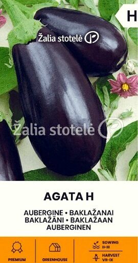 Baklažāni AGATA H 0.1 g Žalia stotelė