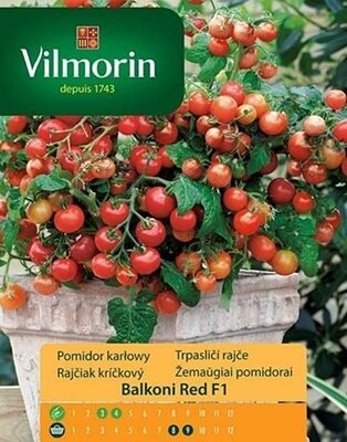 Tomāti Balconi Red F1 100 mg Vilmorin  (P)