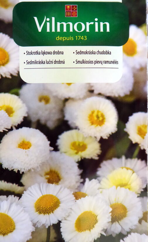 Ilggadīgā  mārpuķīte  balta 0.2 g Vilmorin