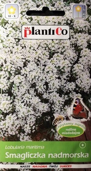 Jūrmalas lobulārija (Saldā alise) balta 1 g  PlantiCo  A.P.