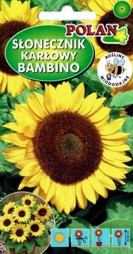 Saulespuķes Bambino 2 g Polan