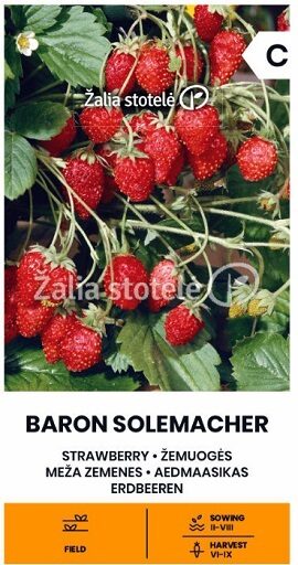 Meža zemenes Baron Solemacher 0.1 g Žalia stotelė