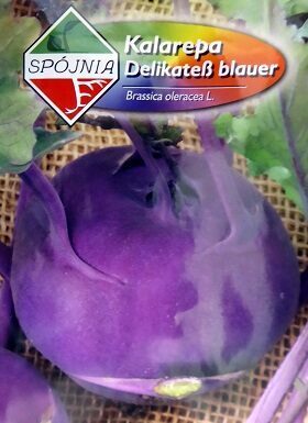 Kolrābji Delikates blauer 1 g Spojnia A.P.