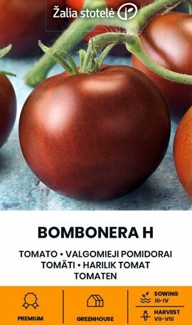 TOMĀTI BOMBONERA H 5 gab  Žalia stotelė