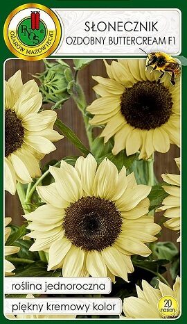 Dekoratīvā saulespuķe Buttercream F1 20 gab PNOS
