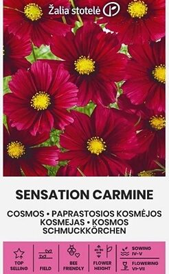 Divplūksnu kosmejas SENSATION CARMINE 1 g Žalia stotelė