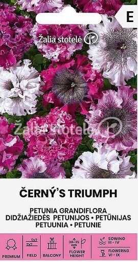 LIELZIEDU PETŪNIJAS BLACK TRIUMPH 20 gab  Žalia stotelė