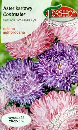 Pundurasteres ķīnas Contraster MIX 1 g Torseed